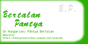 bertalan pantya business card