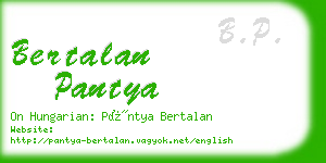 bertalan pantya business card